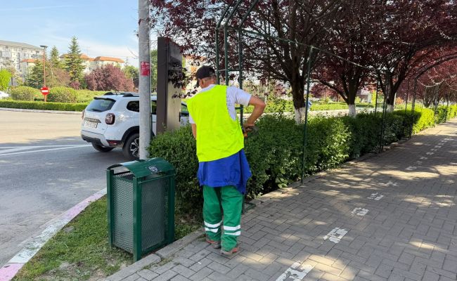 Echipele Servicii Edilitare pentru Comunitate Mioveni, ample acțiuni de ecologizare!
