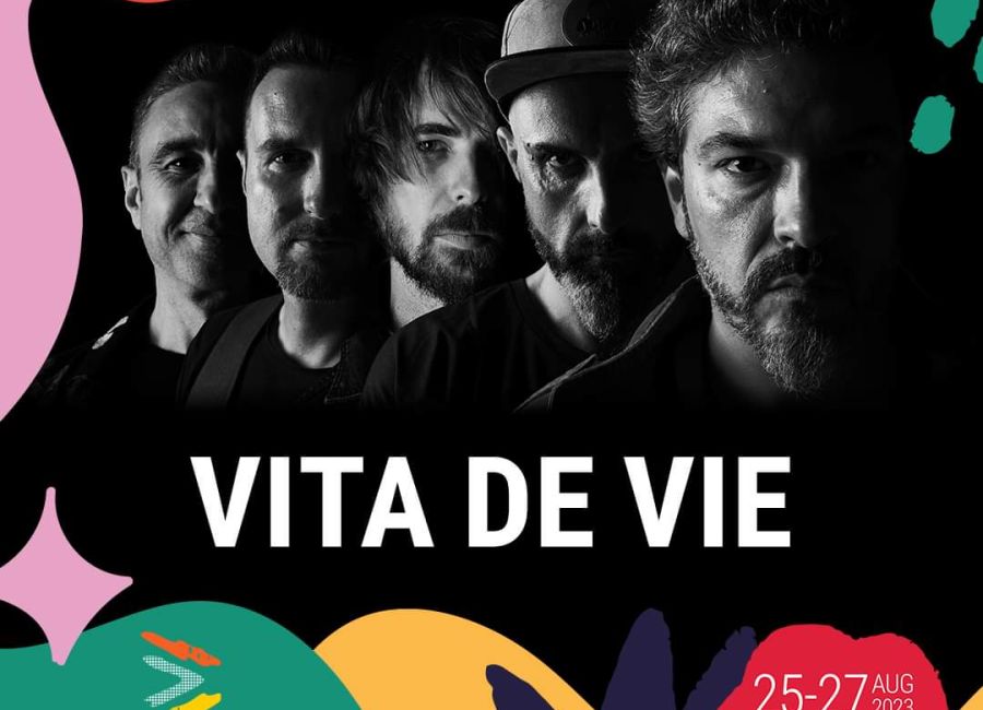 Vița de Vie, show incendiar la Analogue Festival