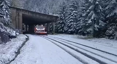 Ninsoare puternică pe Transfăgărășan!