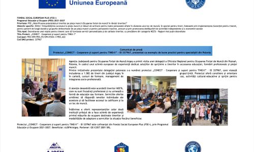 Proiectul „CONECT – Cooperare și suport pentru TINEri!” – ID 337967, prezentat ca exemplu de bune practici pentru specialiștii din Polonia