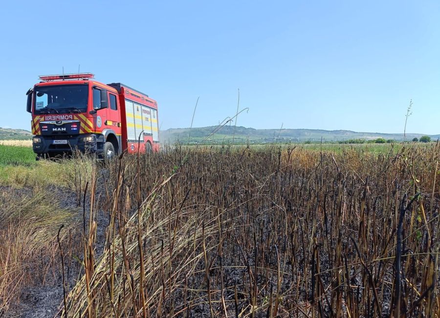 Incendii de vegetație uscată în Argeș!