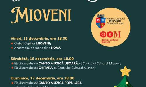 La Mioveni va fi organizată o nouă ediţie a Târgului de Crăciun