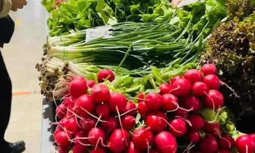 Programul piețelor agroalimentare din Pitești,