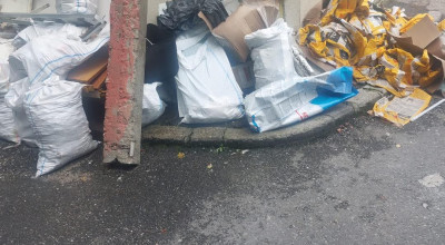 Pentru un oraș curat și civilizat: controale zilnice ale Poliției Locale Pitești privind respectarea normelor de salubritate