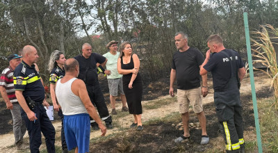 Incendiu de proporții în comuna Lunca Corbului! Prefectul Ioana Făcăleață, mesaj ferm!