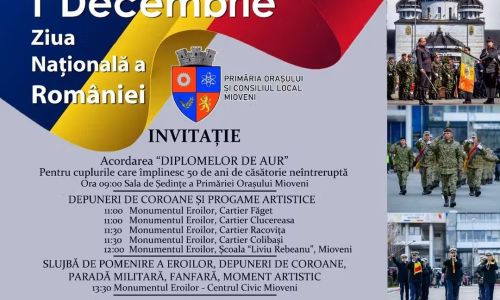 Ziua Națională, sărbătorită la Mioveni!