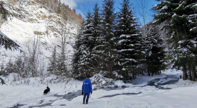 ABAAV ATENȚIONARE: Traversarea cursurilor de apă pe gheață este periculoasă!