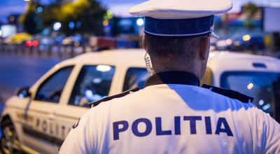 Tâlhărie în Piteşti! Un elveţian a furat 17 căţeluşi!