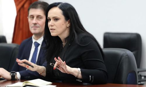 Dialog deschis pentru soluții concrete pe piața muncii! Ministrul Simona Bucura-Oprescu, întâlnire cu reprezentanții Confederației Patronale Concordia