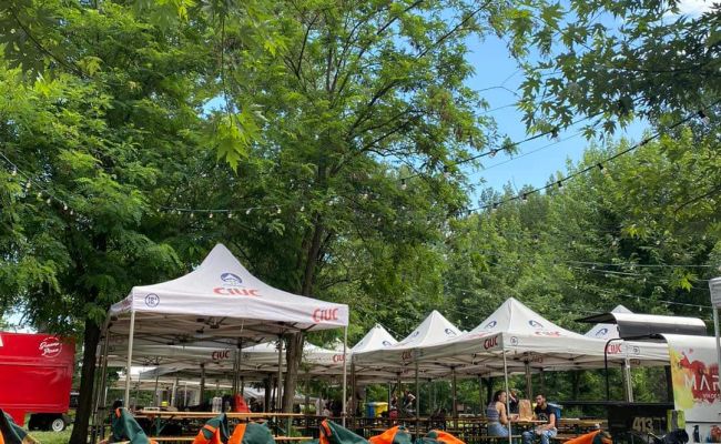 Festival de muzică rock în Parcul "Lunca Argeșului"