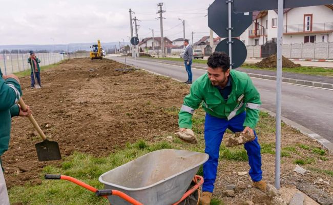 Lucrări privind amenajarea spaţiului verde pe o stradă din Mioveni