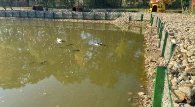 Lucrări importante la Grădina Zoologică din Pitești