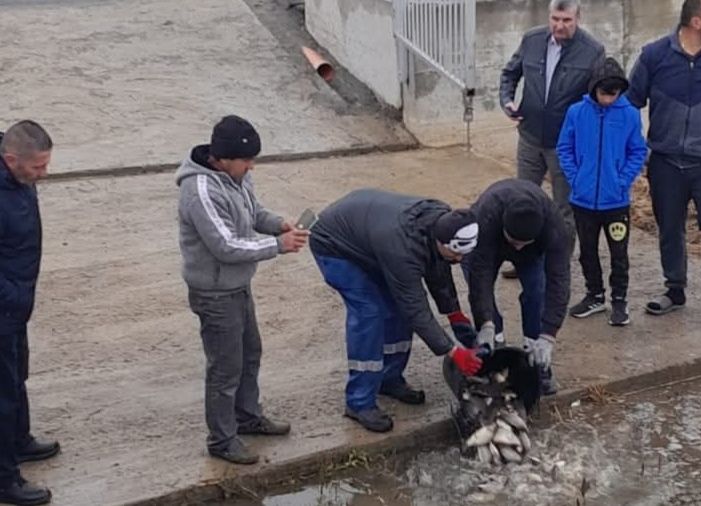 Lacurile din comuna Bradu au fost repopulate!