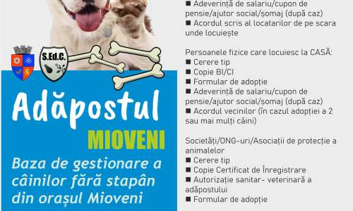 Doriți să adoptați un câine din adăpostul Mioveni? Iată ce trebuie să faceți
