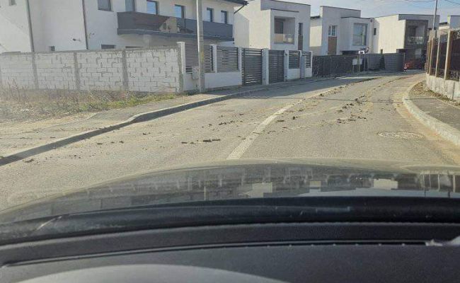 Primarul Gentea, mesaj tranșant! "Vom da amenzi"