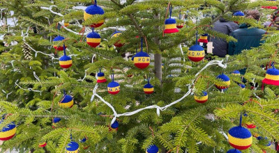 Expoziție inedită de brazi în cadrul Târgului de Crăciun de la Pitești