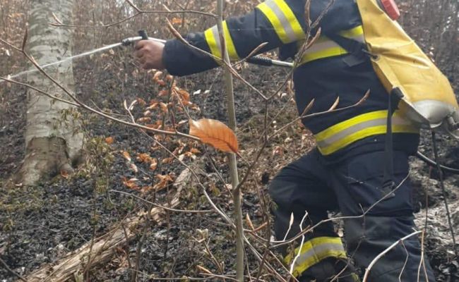 Incendiul de la Cetățeni a fost LICHIDAT! Totul a pornit de la o țigară