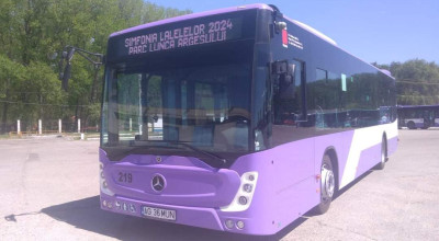 Publitrans, transport GRATUIT la Simfonia Lalelelor