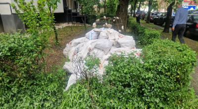 Acțiuni ale Poliției Locale Pitești pentru protejarea mediului: sancțiuni pentru depozitarea ilegală a deșeurilor din construcții