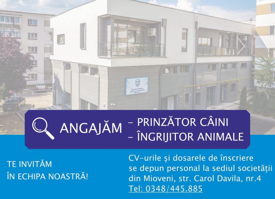SEdC Mioveni angajează personal pentru Baza de gestionare a câinilor fără stăpân
