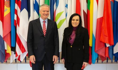 Ministrul Simona Bucura Oprescu, reuniune bilaterală cu secretarul general OCDE
