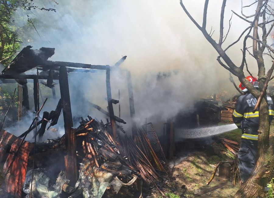 Incendiu într-o gospodărie din Argeş