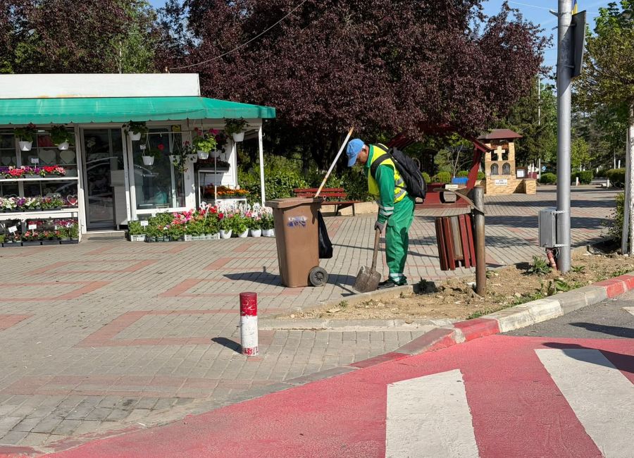Echipele Servicii Edilitare pentru Comunitate Mioveni, ample acțiuni de ecologizare!