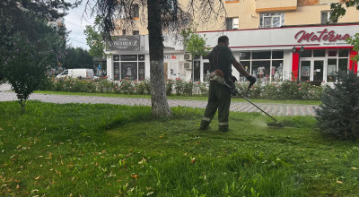 Ample acțiuni de curățenie a spațiului verde din orașul Mioveni!
