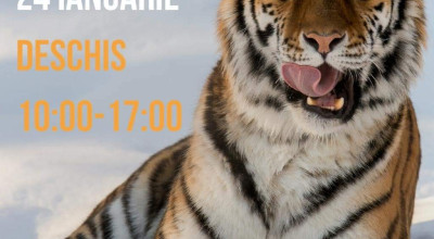 Grădina Zoologică Pitești, deschisă miercuri, 24 ianuarie