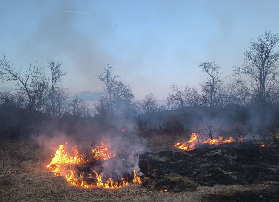 ACUM! Incendiu într-o GOSPODĂRIE din Argeș!