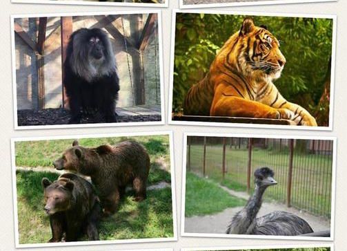 Zoo Pitești își așteaptă vizitatorii, în mini-vacanța de Sfânta Maria Mare!