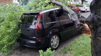 Intervenție de URGENȚĂ în Pitești! Copaci căzuți pe mașini!