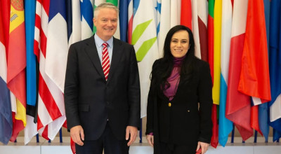 Ministrul Simona Bucura Oprescu, reuniune bilaterală cu secretarul general OCDE